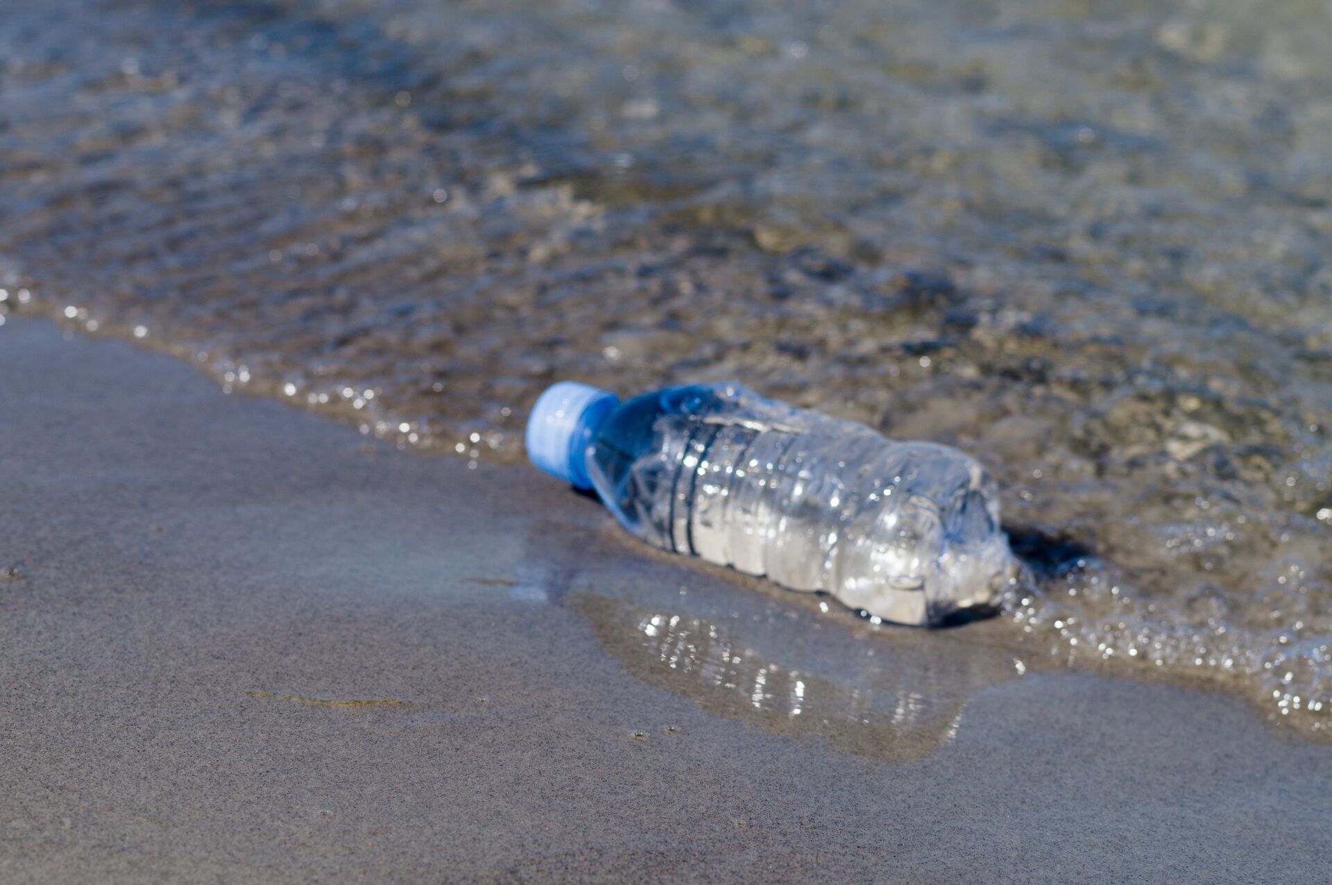 plastflaske i vannkanten