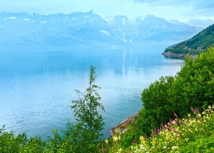 Glomfjorden, natur