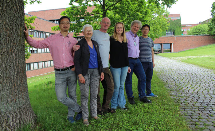Norske og kinesiske forskere samarbeider om CCS-teknologi