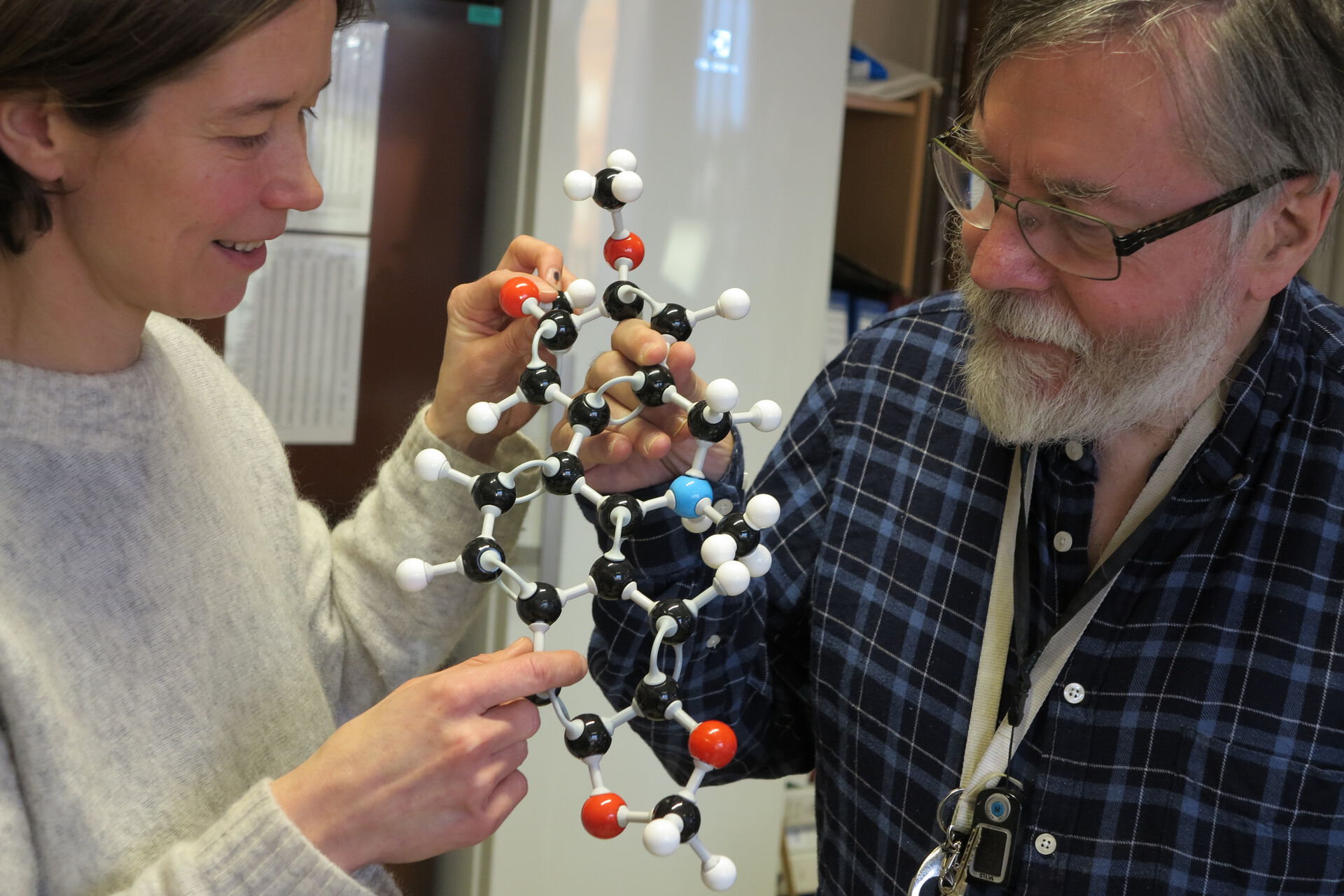 Helle Wangensteen og Karl Egil Malterud med en strukturmodell av pellitorin-molekylet