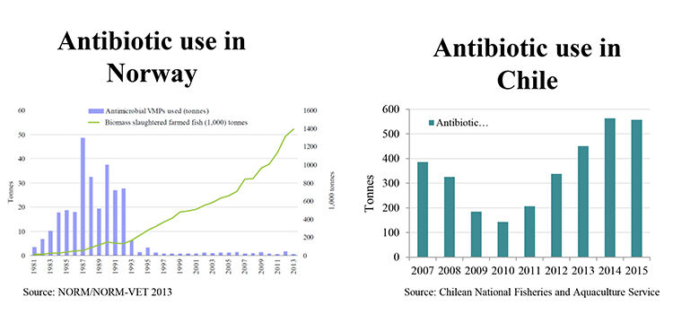 Grafer som viser antibiotikabruk i fiskeoppdrett i Norge og Chile