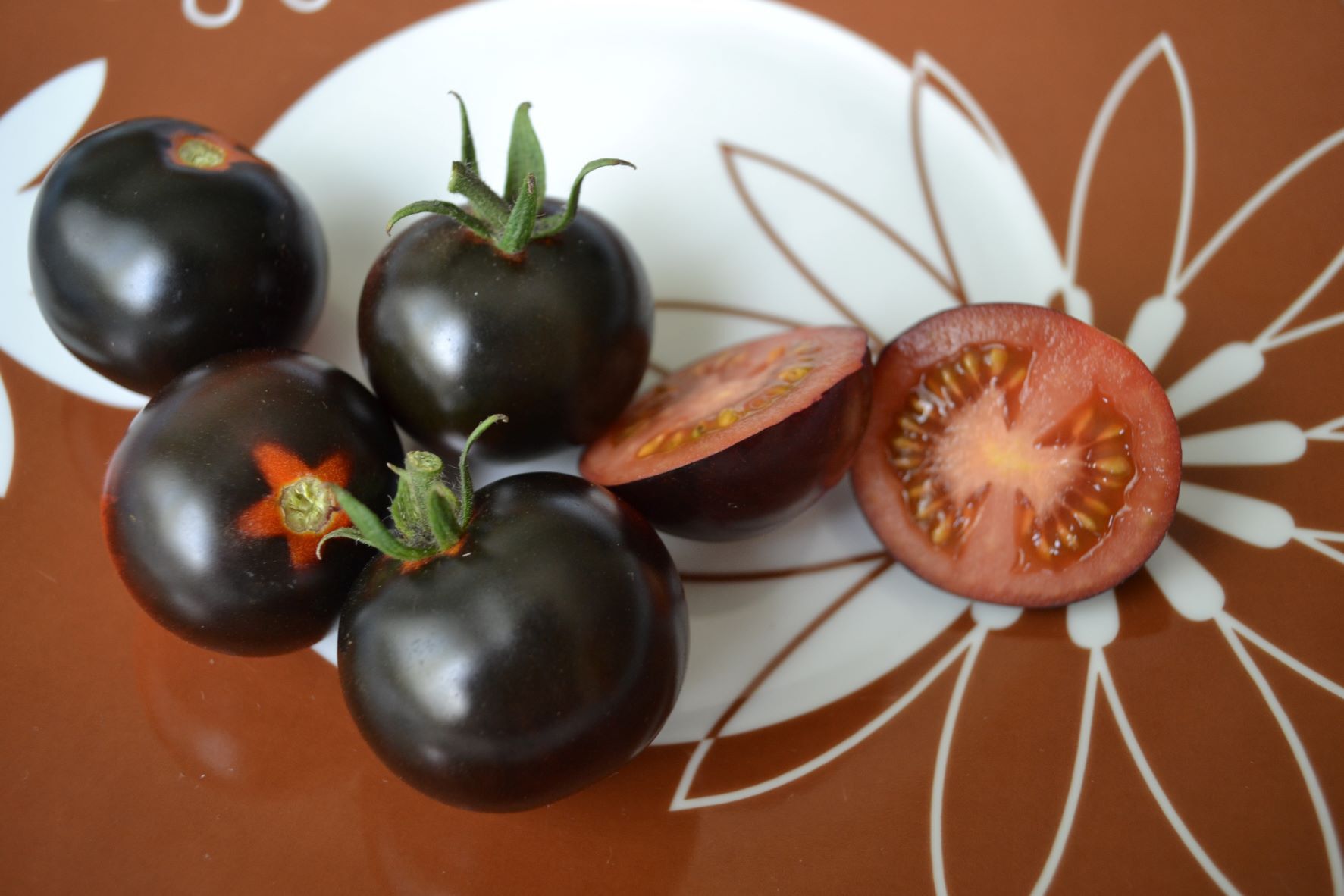 genmodifiserte tomater med blått skall
