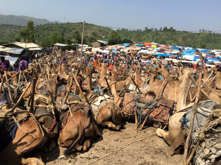 The market in Bati is one of the largest in Ethiopia