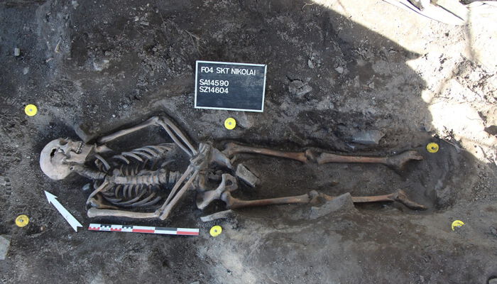 Denne mannen ble gravlagt i Oslo i 1348 eller 1349. Nå har forskere funnet spor etter pestbakteriene i skjelettets tannrøtter. Foto: NIKU.