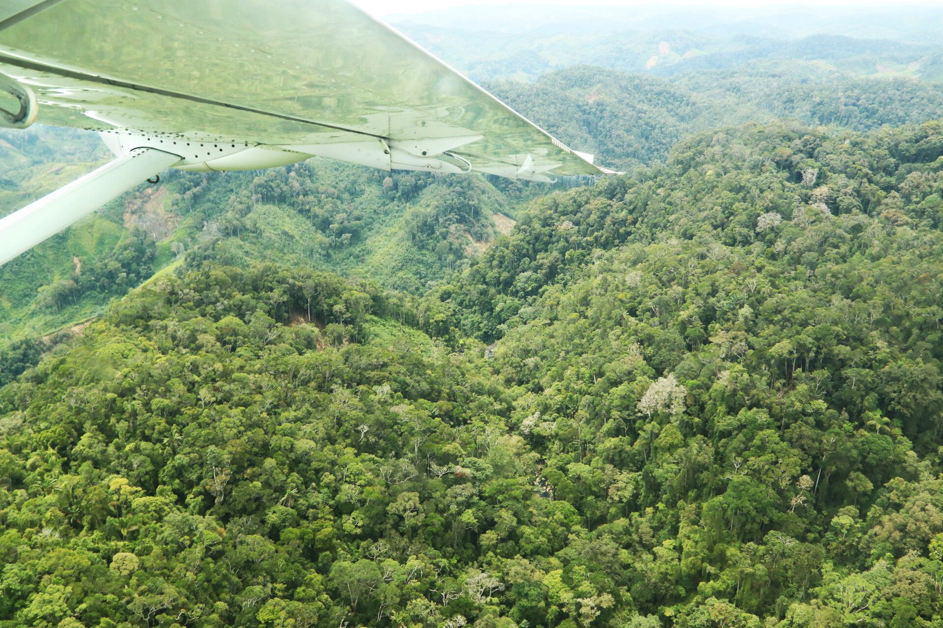 utsikten da det lille flyet fløy over Madagaskars regnskog