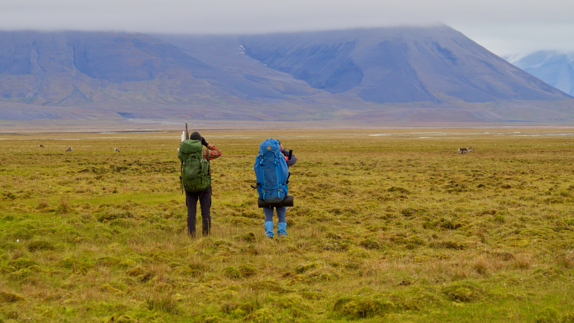 Forskere på feltarbeid på Svalbard