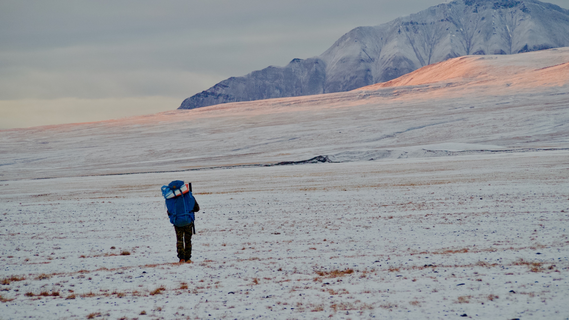 Forsker på feltarbeid på Svalbard