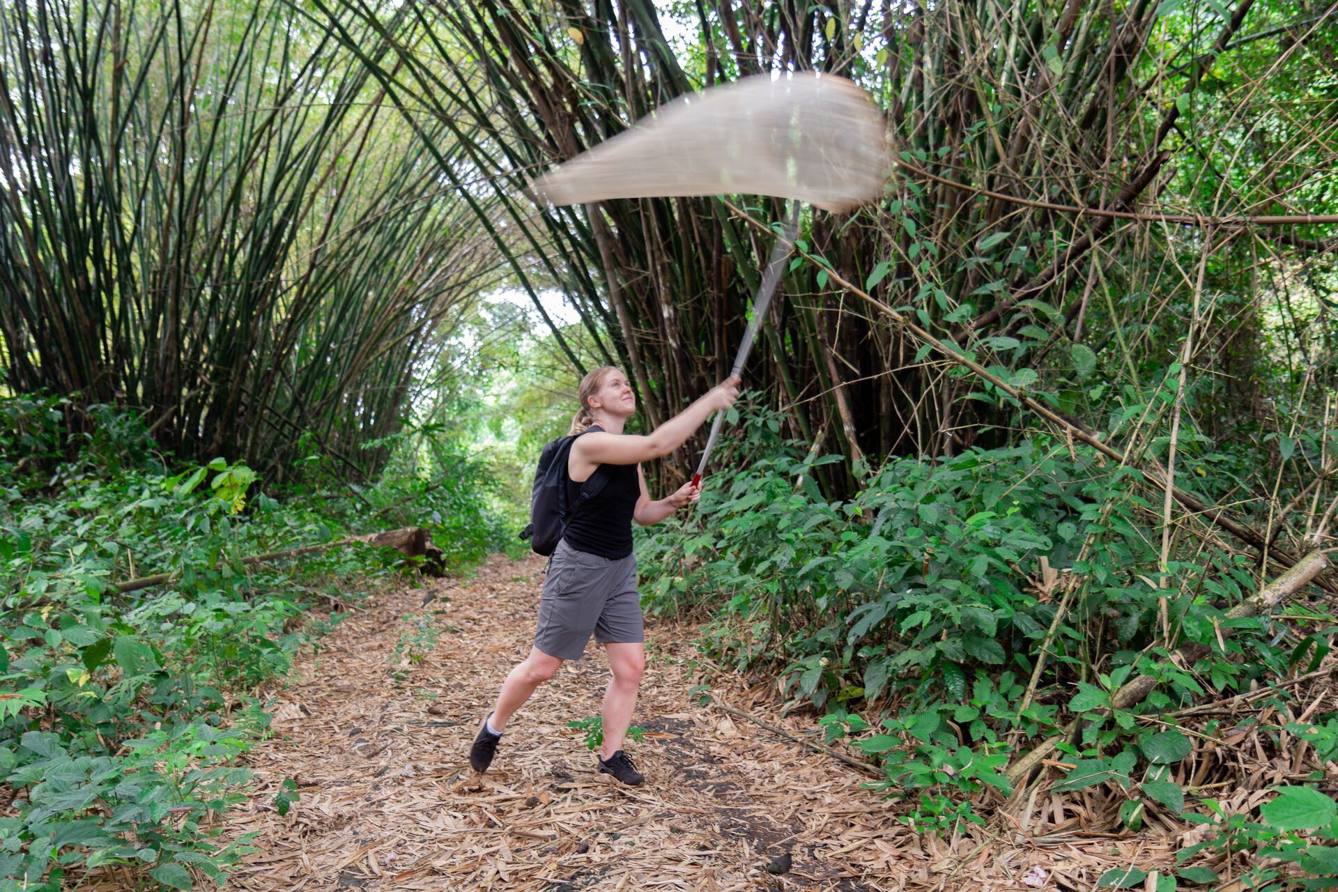 student som fanger insekter i regnskogen